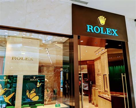 rolex tampa florida